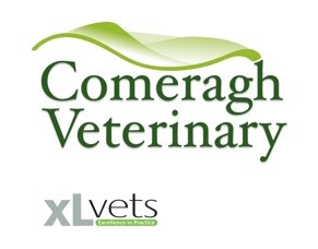 Comeragh-Veterinary-2